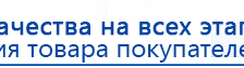 ЧЭНС Скэнар купить в Кызыле, Аппараты Скэнар купить в Кызыле, Дэнас официальный сайт denasolm.ru